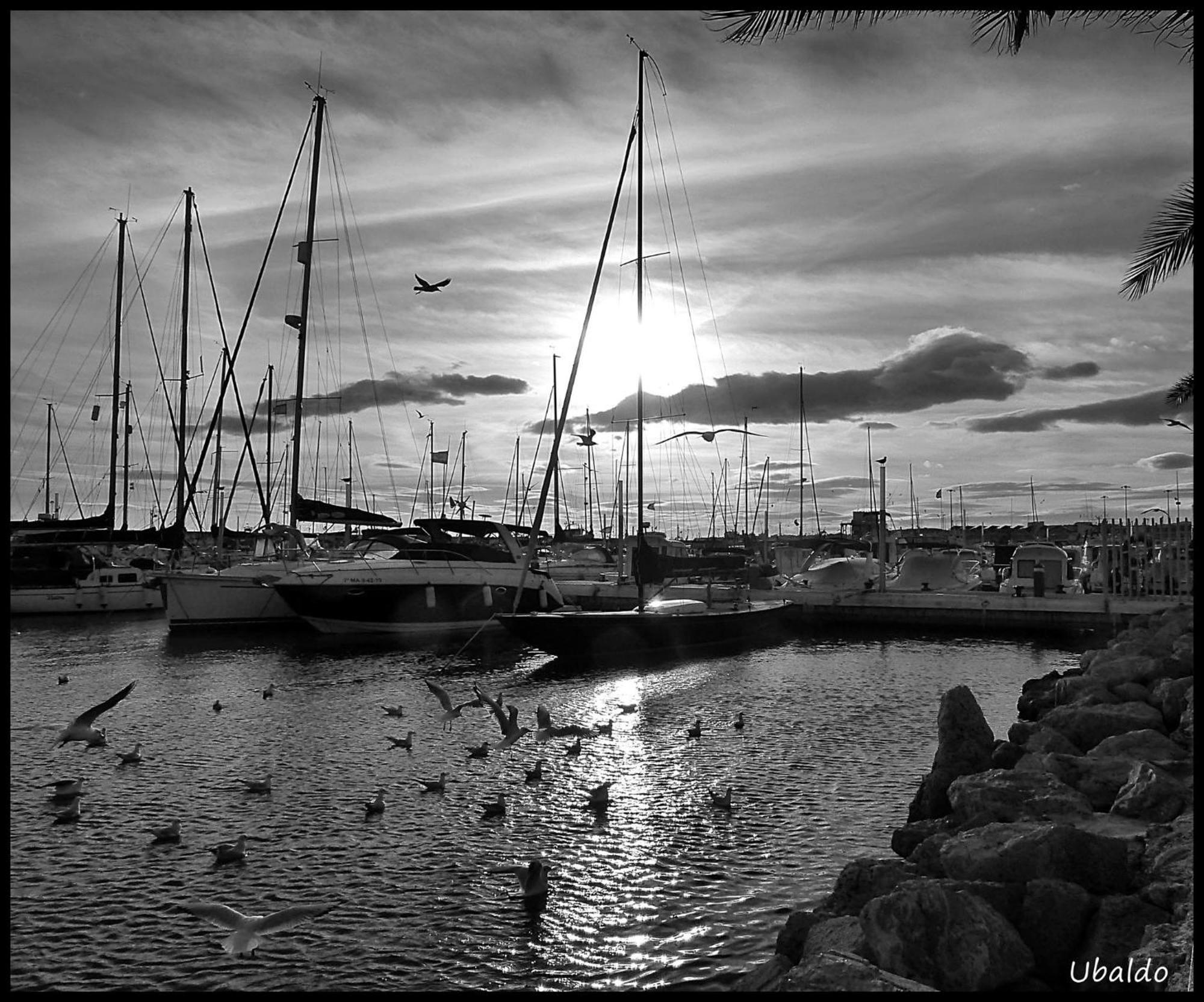 Brisas Del Mar Villa Caleta De Velez Exteriör bild